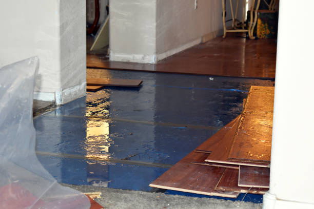 Professional Water Damage Restoration technician working in Valley Falls, RI